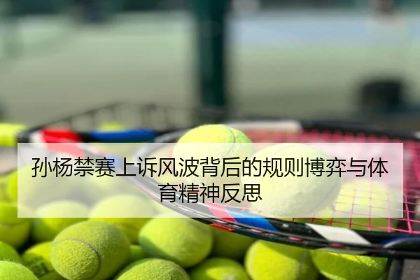 孙杨禁赛上诉风波背后的规则博弈与体育精神反思