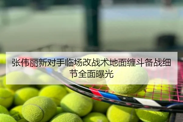 张伟丽新对手临场改战术地面缠斗备战细节全面曝光
