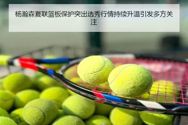 杨瀚森夏联篮板保护突出选秀行情持续升温引发多方关注